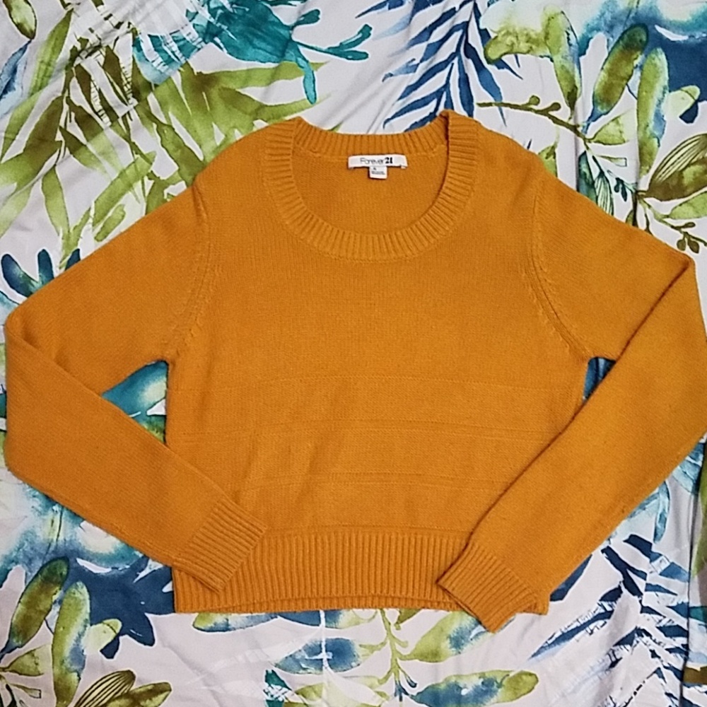 Forever 21 Cropped Sweater